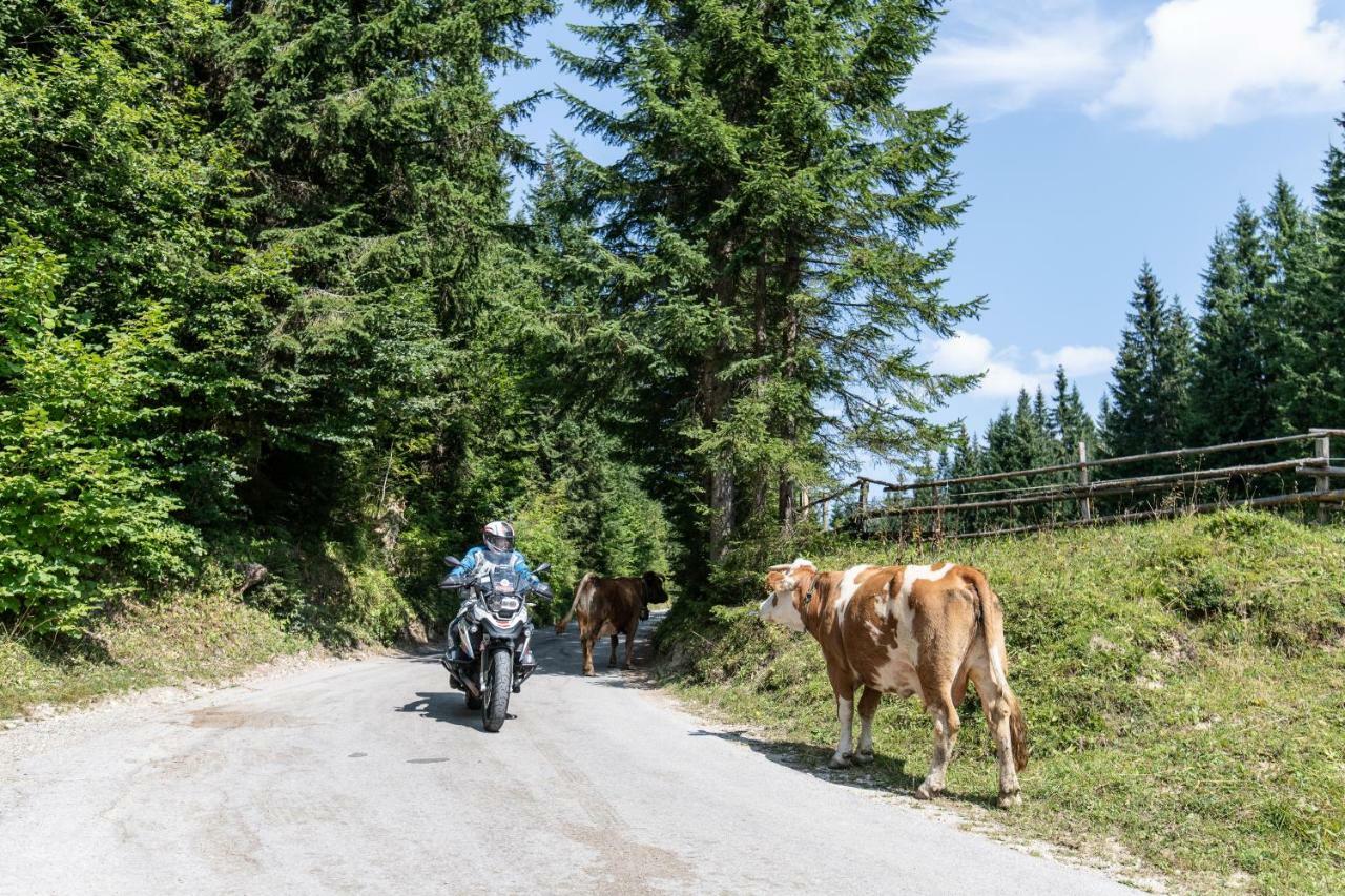 Ferienwohnungen Panorama Harrys Bike Tours Villach Bagian luar foto
